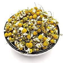 Chamomile - Matricaria chamomilla